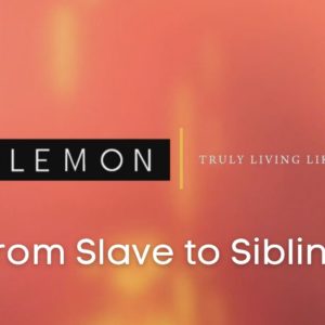 From Slave to Sibling
