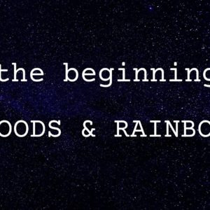 In the Beginning: Floods & Rainbows
